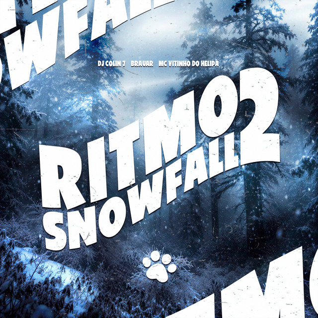 RITMO SNOWFALL 2
