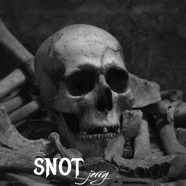 Snot cover art