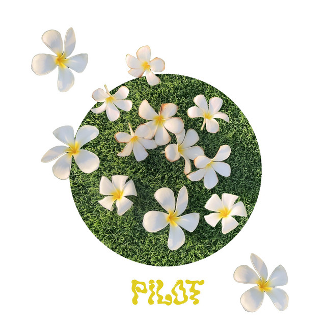 Pilot cover art