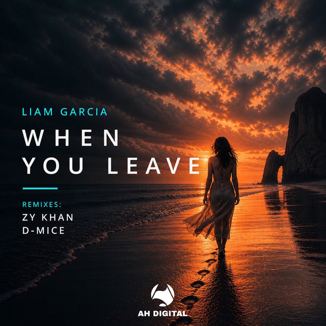 When You Leave (D-MICE Remix)