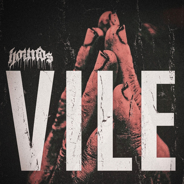 VILE cover art