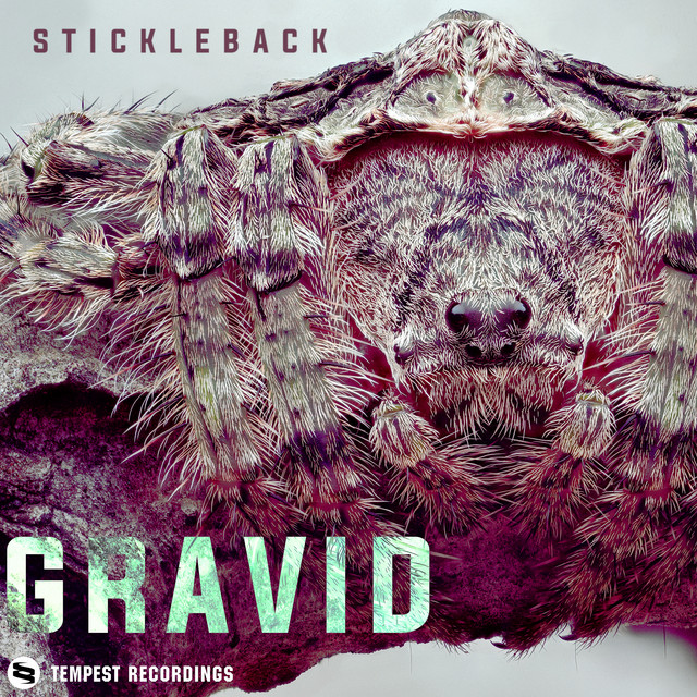 Gravid cover