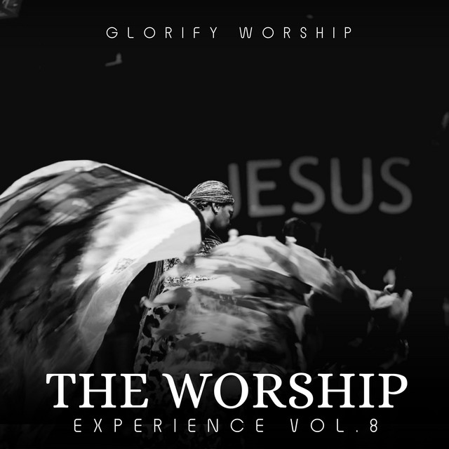 The Worship Experience, Vol. 8 cover art
