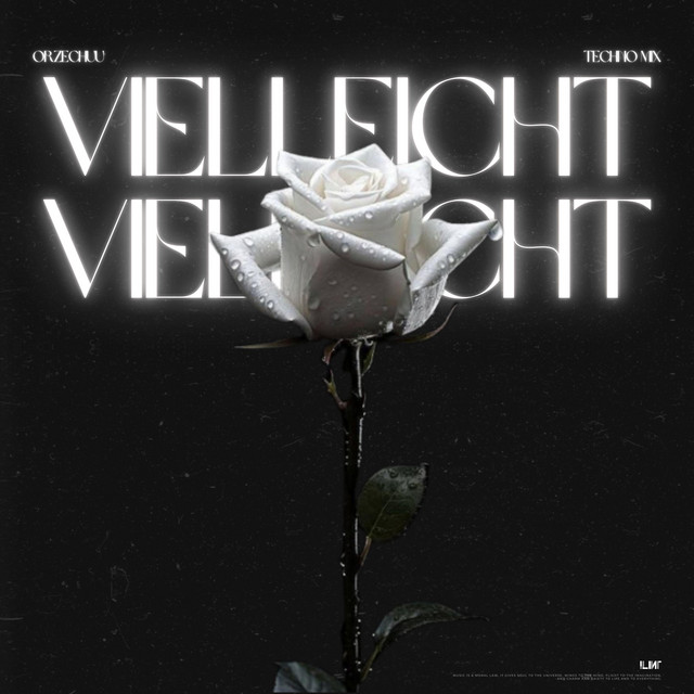 Vielleicht Vielleicht (Techno Remix) cover art