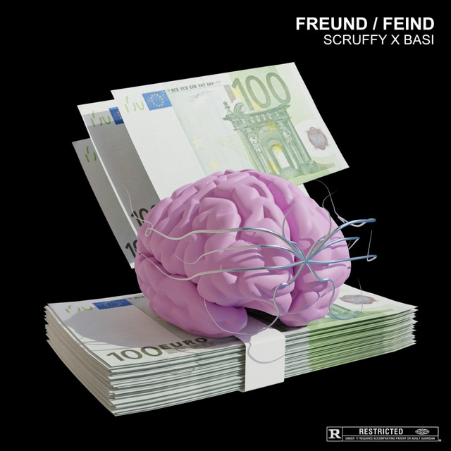 Freund / Feind cover art