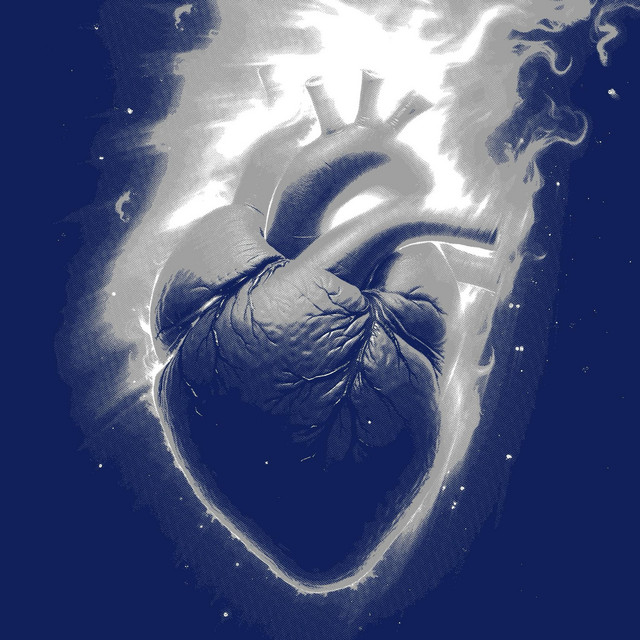 ALEV cover art