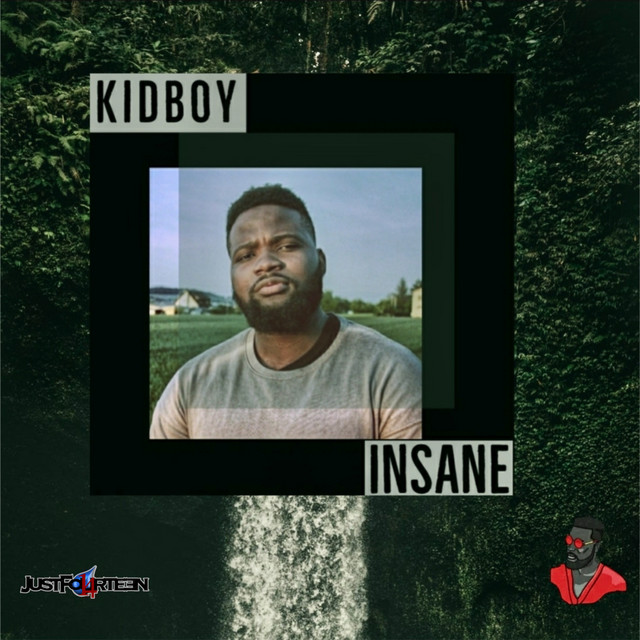 Insane cover