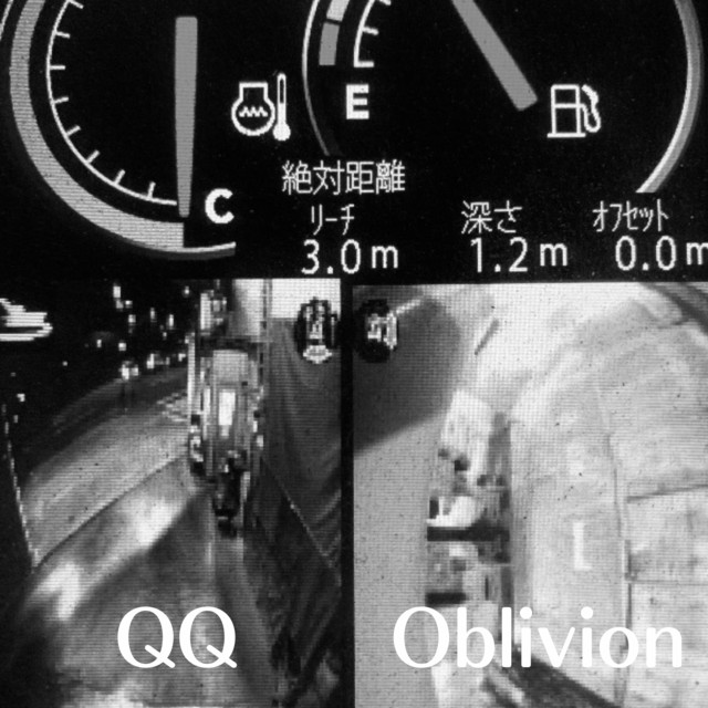 Oblivion cover art
