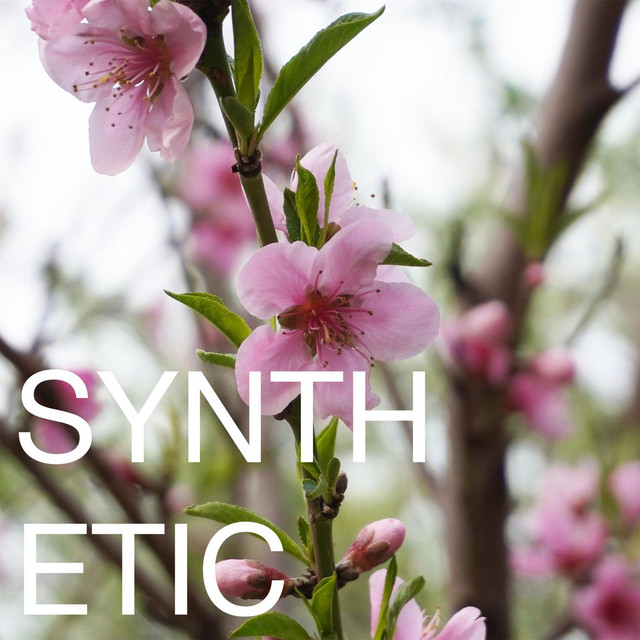 SYNTHETIC
