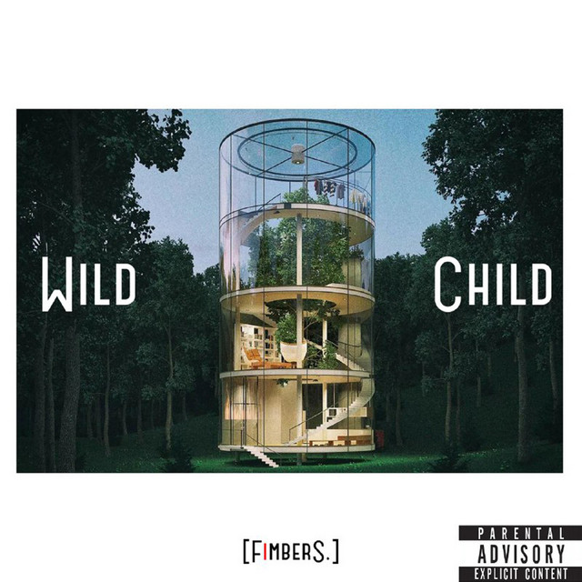 Обкладинка: Wild Child — Fimbers