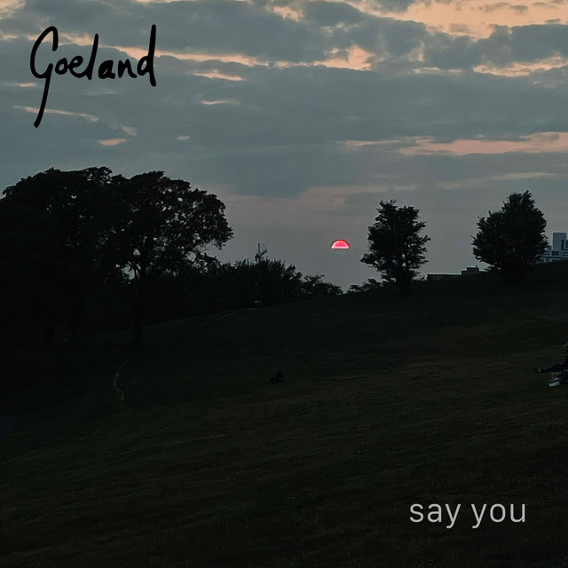 Say You cover art