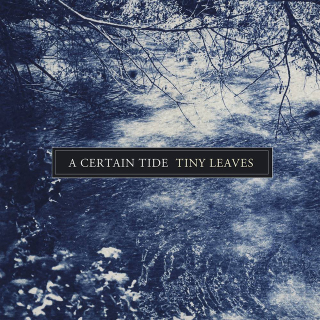 A Certain Tide cover art