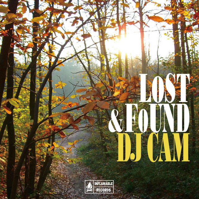 (USED) DJ CAM LOST & FOUND アナログレコード　レア盤 CAM FOUND & DJ アナログレコード　レア盤 LOST (USED)