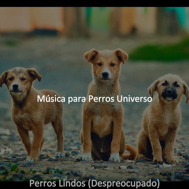 perros-lindos-despreocupado-album-by-m-sica-para-perros-universo