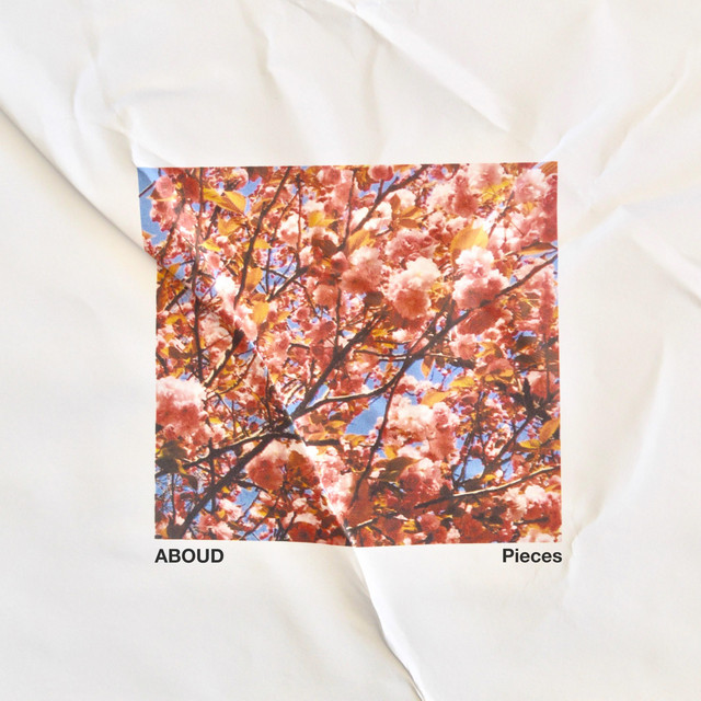 Pieces cover art