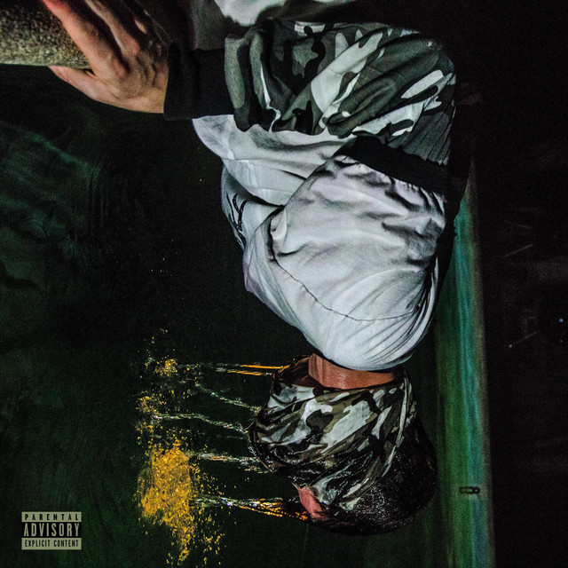 Delusional cover art