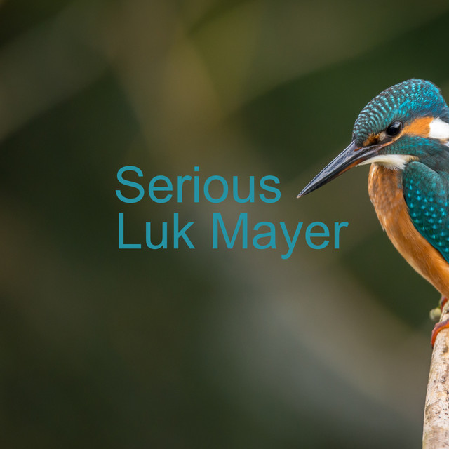 serious-single-by-luk-mayer-spotify