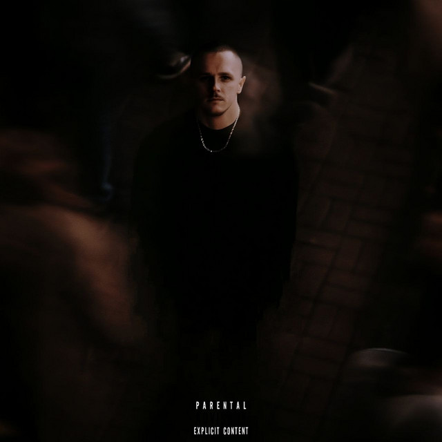 Обкладинка: 12+1 — Levi Dizy