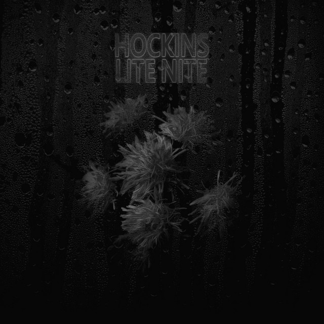 Cover art: Lite Nite — Hockins