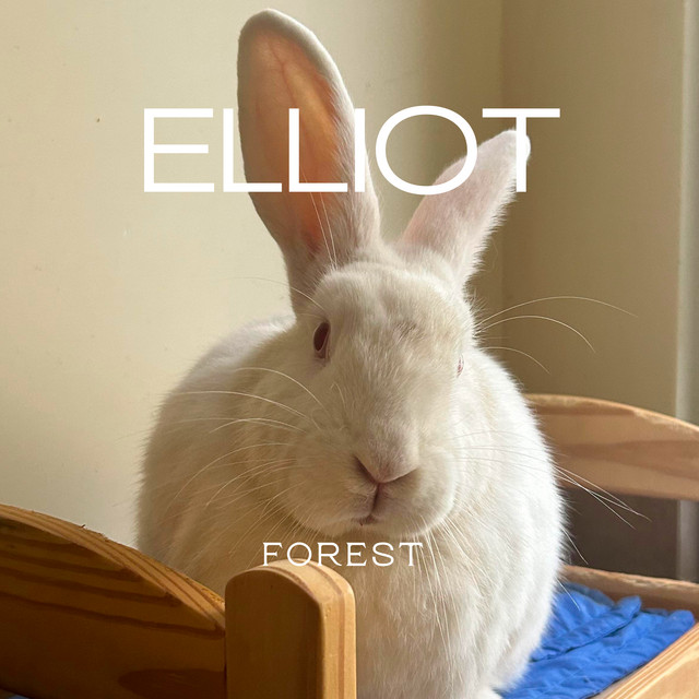 Elliot cover art