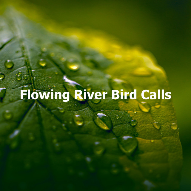Flowing River Bird Calls - Album by Peaceful Nature Music | Spotify