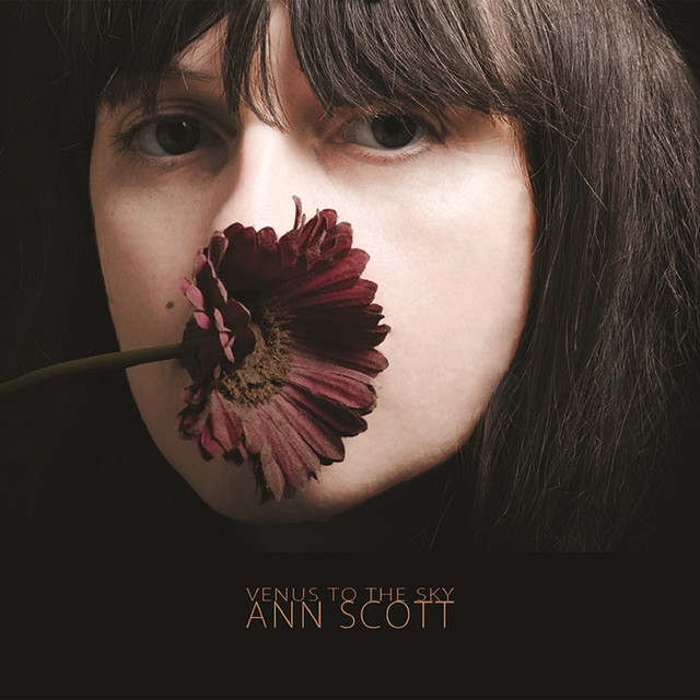 Venus to the Sky cover art