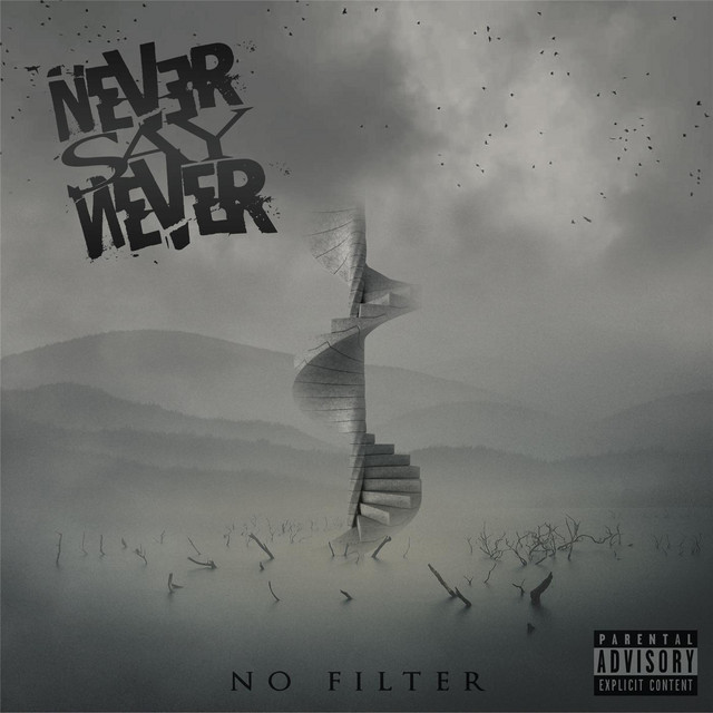 No Filter cover art