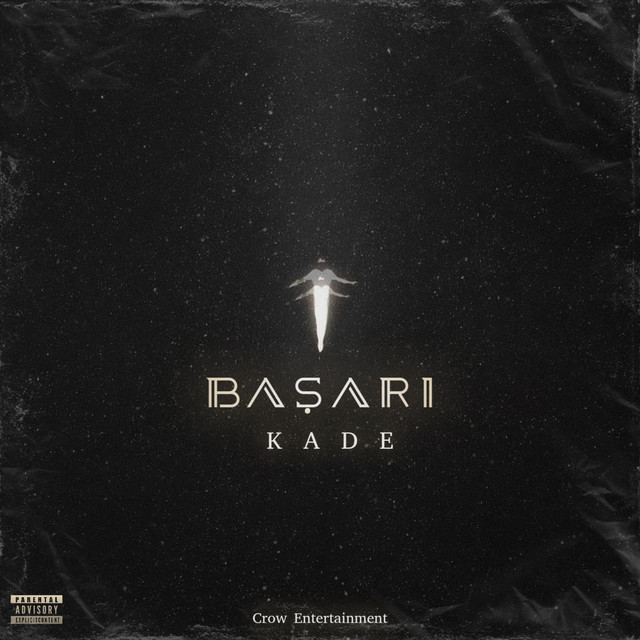 BAŞARI cover art