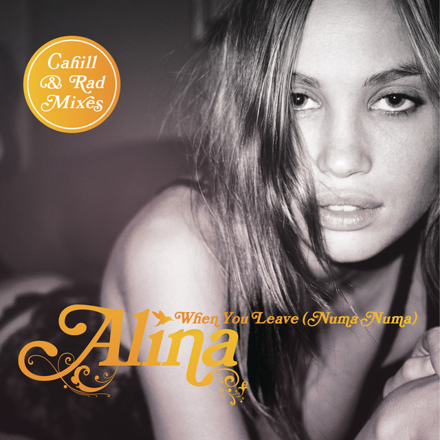 When You Leave (Numa Numa) [Remixes Part 2] cover art