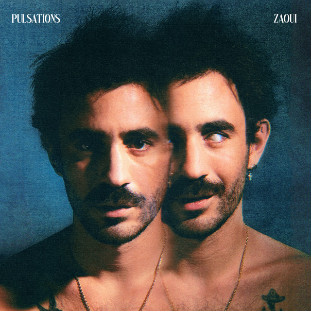 Pulsations cover art
