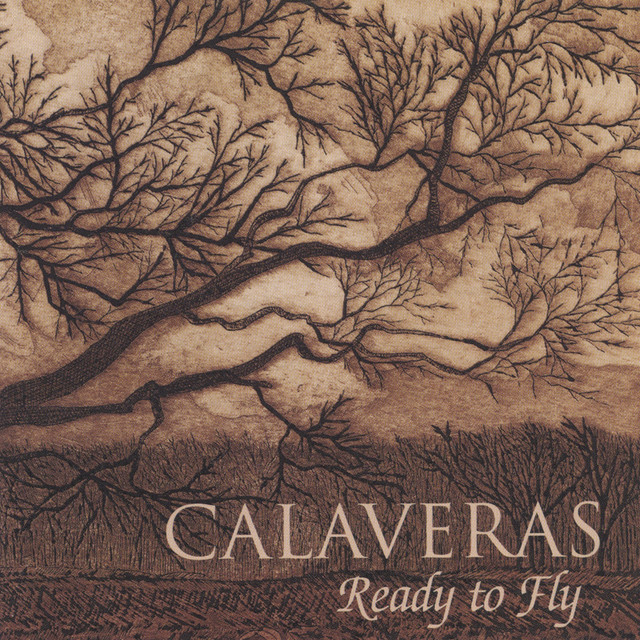 Ready to Fly cover art