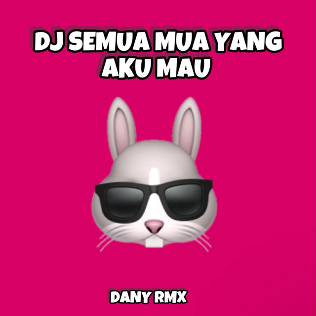 DANY RMX