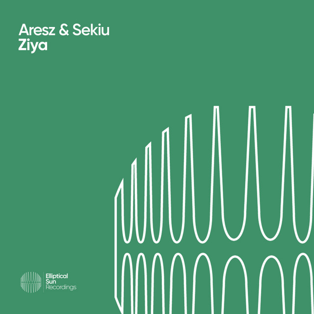 Ziya cover