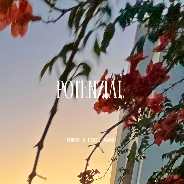 potenzial album image