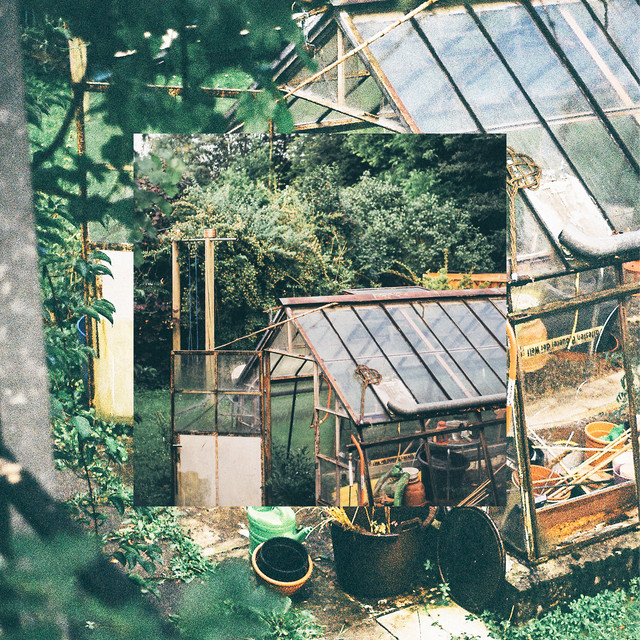 Greenhouse cover art