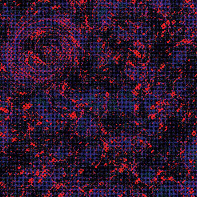 Blackhole cover art