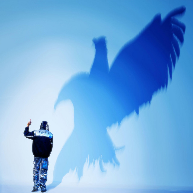 Mr BIRD cover art