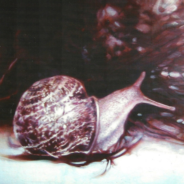 Live at the Teatro Ibérico cover art
