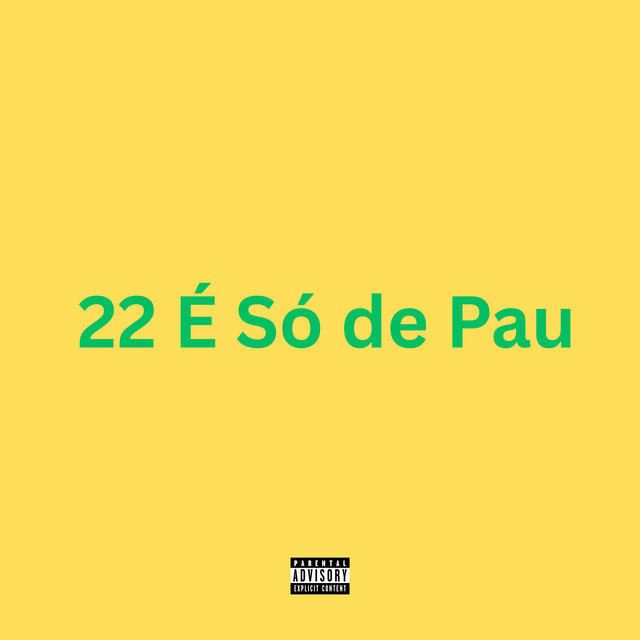 22 É Só de Pau album image