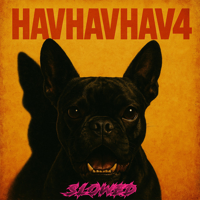 HAVHAVHAV4 - SLOWED