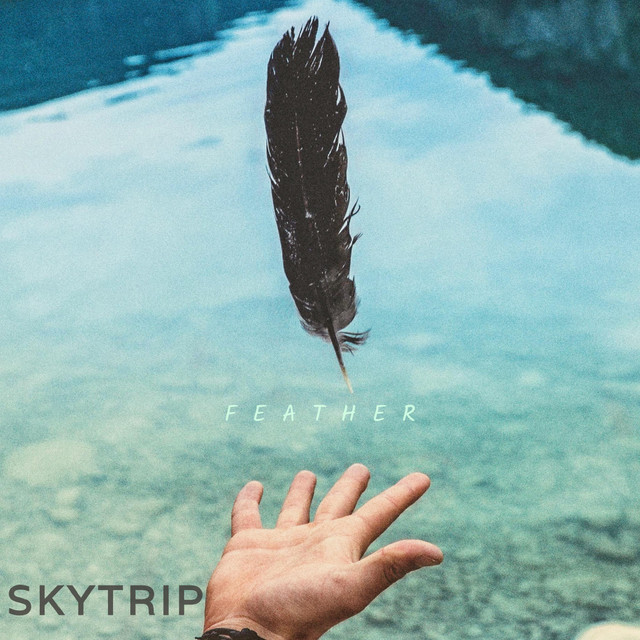 Feather cover art