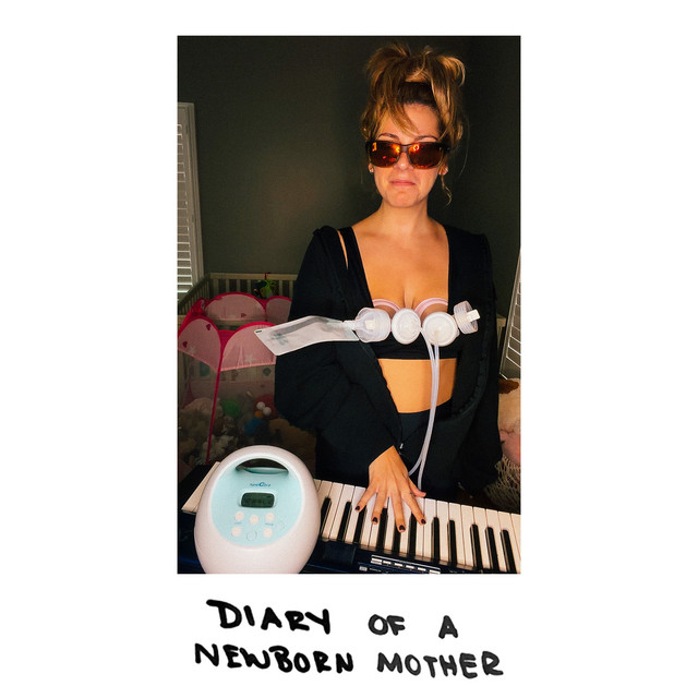 Diary of a Newborn Mother album image