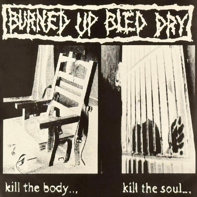 Kill The Body... Kill The Soul... cover art