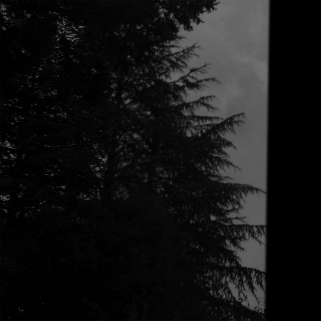 myopia (single)