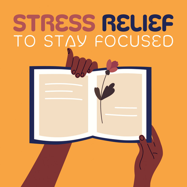 Stress Relief to Stay Focused (Soothing Music for Memory Improvement, Increase Your Concentration and Learning Skills, Meditative Songs to Stay in the Present Moment) cover art