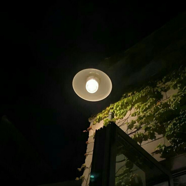 Tệ cover art