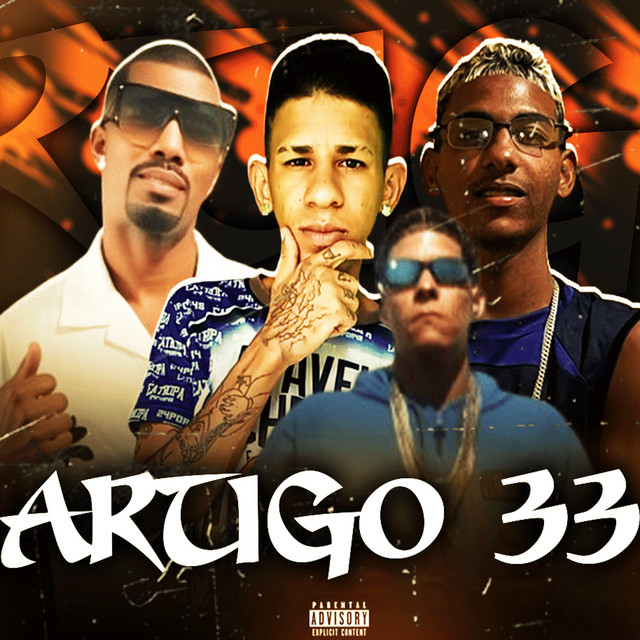 Artigo 33
