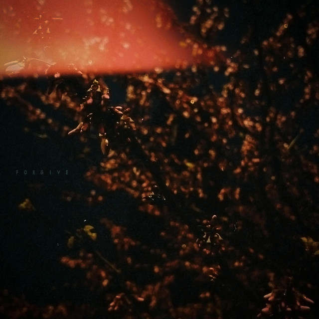 forgive cover art