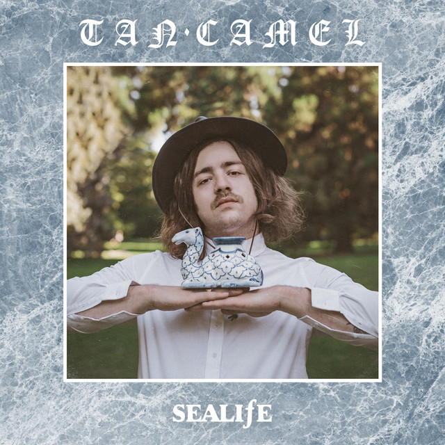 Tan Camel cover art
