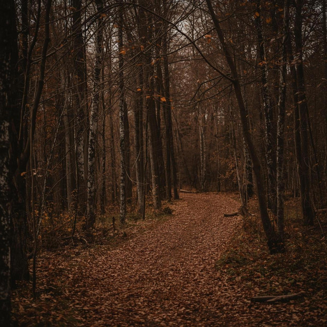 Softwood 1 cover art